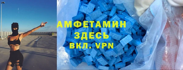 сатива Абаза