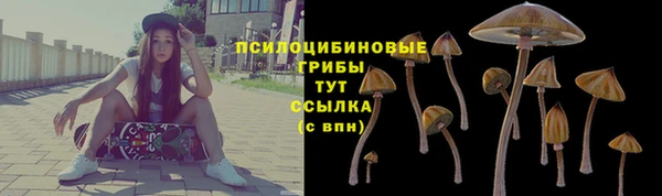 дмт Абинск