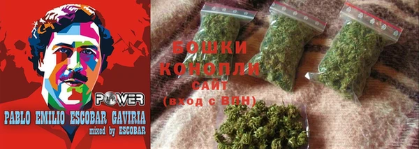 сатива Абаза